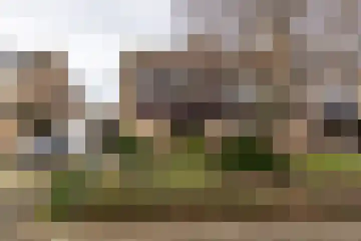 Spieringweg 1063 Zwaanshoek thumbnail 31