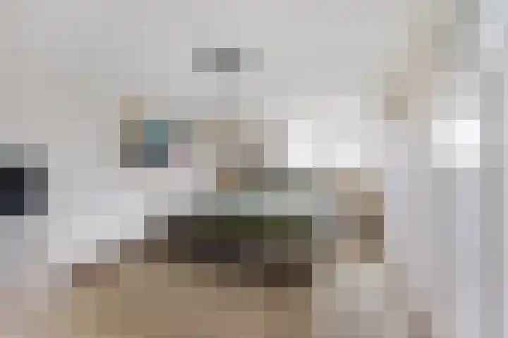 Spieringweg 1213 Zwaanshoek thumbnail 18