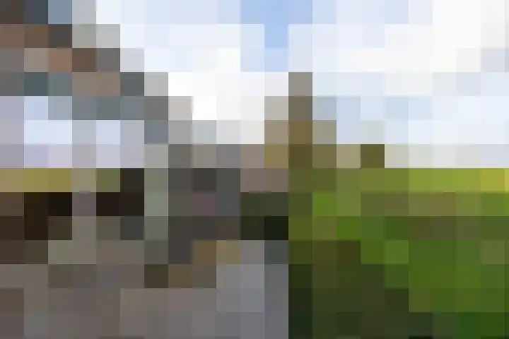 Spieringweg 1213 Zwaanshoek thumbnail 23