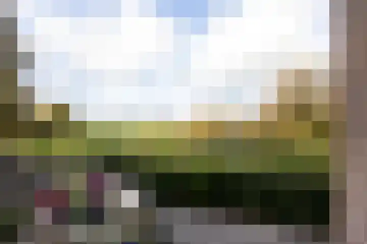 Spieringweg 1213 Zwaanshoek thumbnail 24
