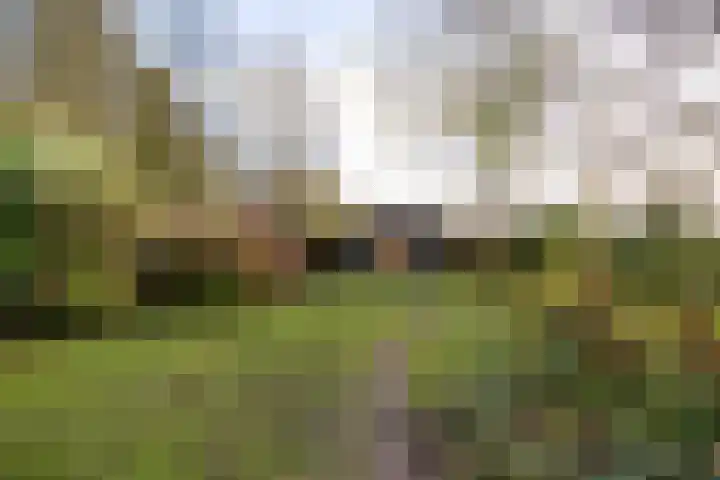 Spieringweg 1213 Zwaanshoek thumbnail 26