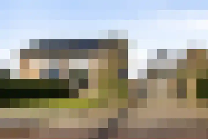 Spieringweg 1213 Zwaanshoek thumbnail 28