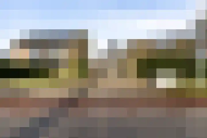 Spieringweg 1213 Zwaanshoek thumbnail 29