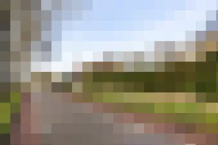 Spieringweg 1213 Zwaanshoek thumbnail 30