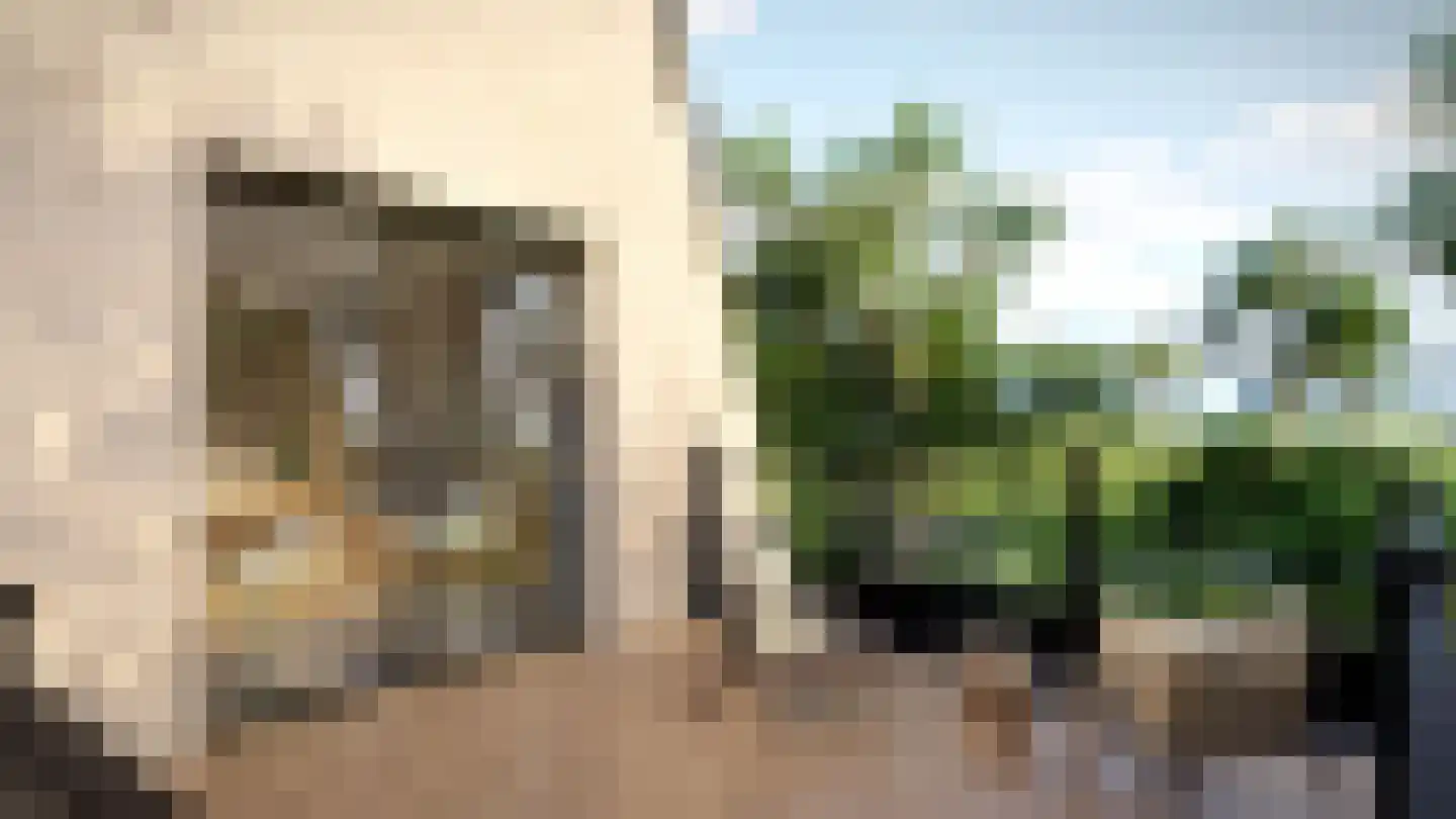 Spieringweg 1220 Zwaanshoek thumbnail 28