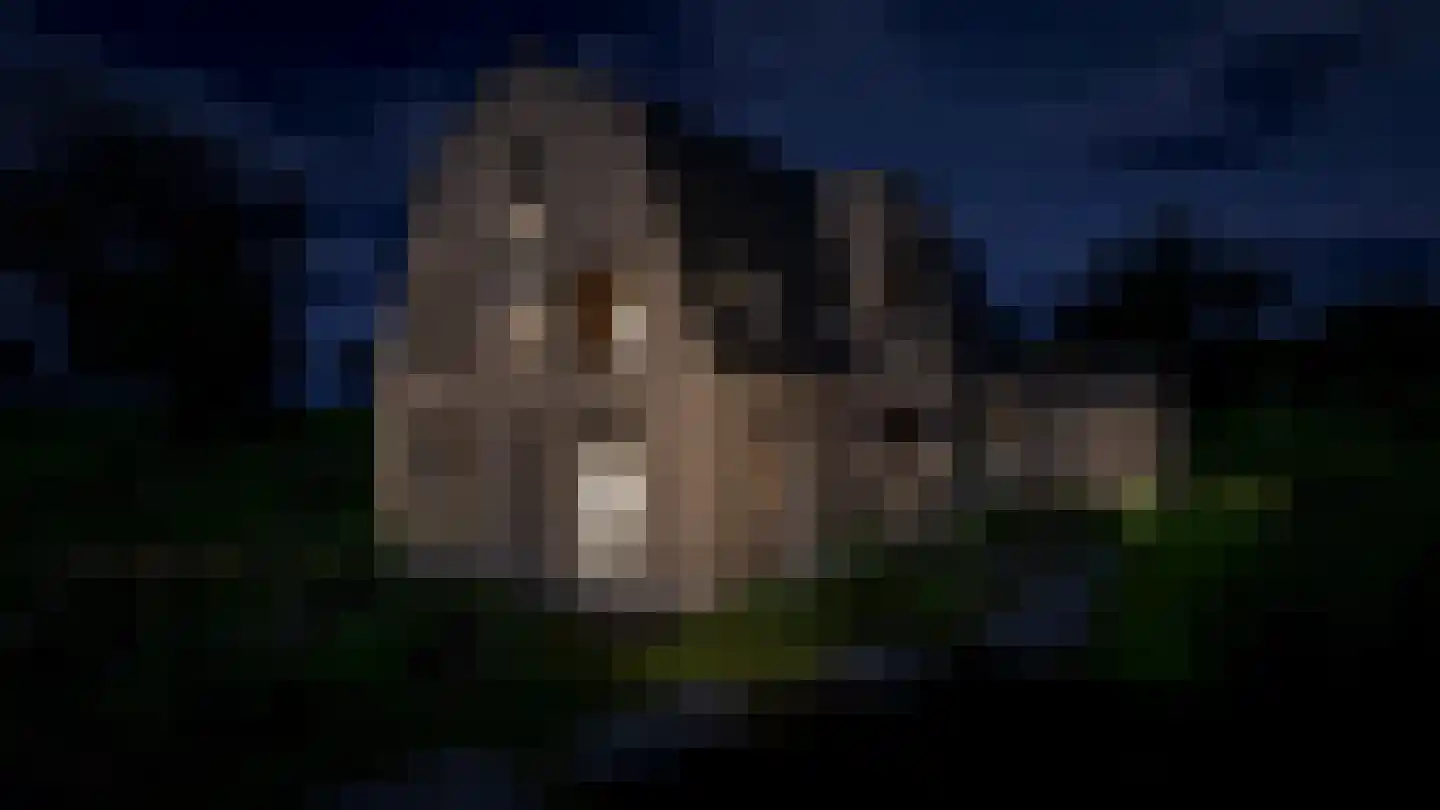 Spieringweg 1220 Zwaanshoek thumbnail 33