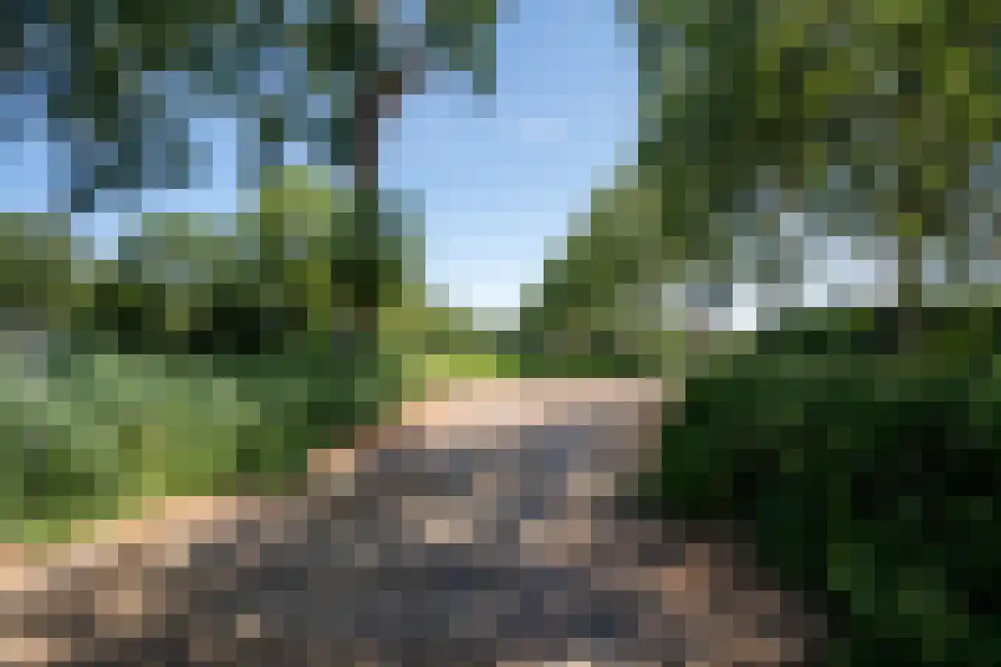 Spieringweg 1220 Zwaanshoek thumbnail 36