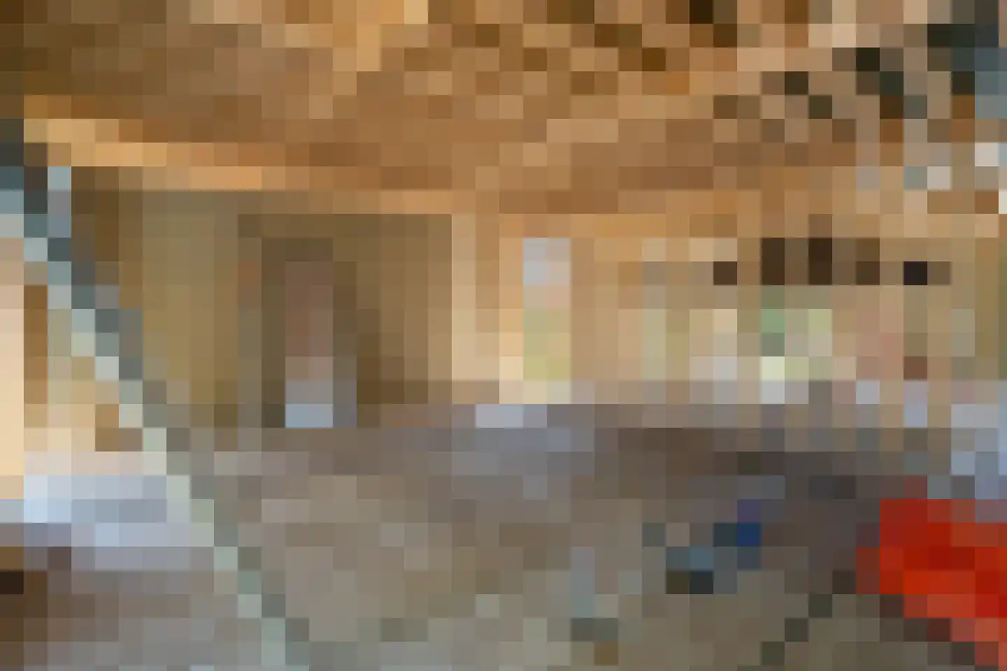 Spieringweg 1220 Zwaanshoek thumbnail 38