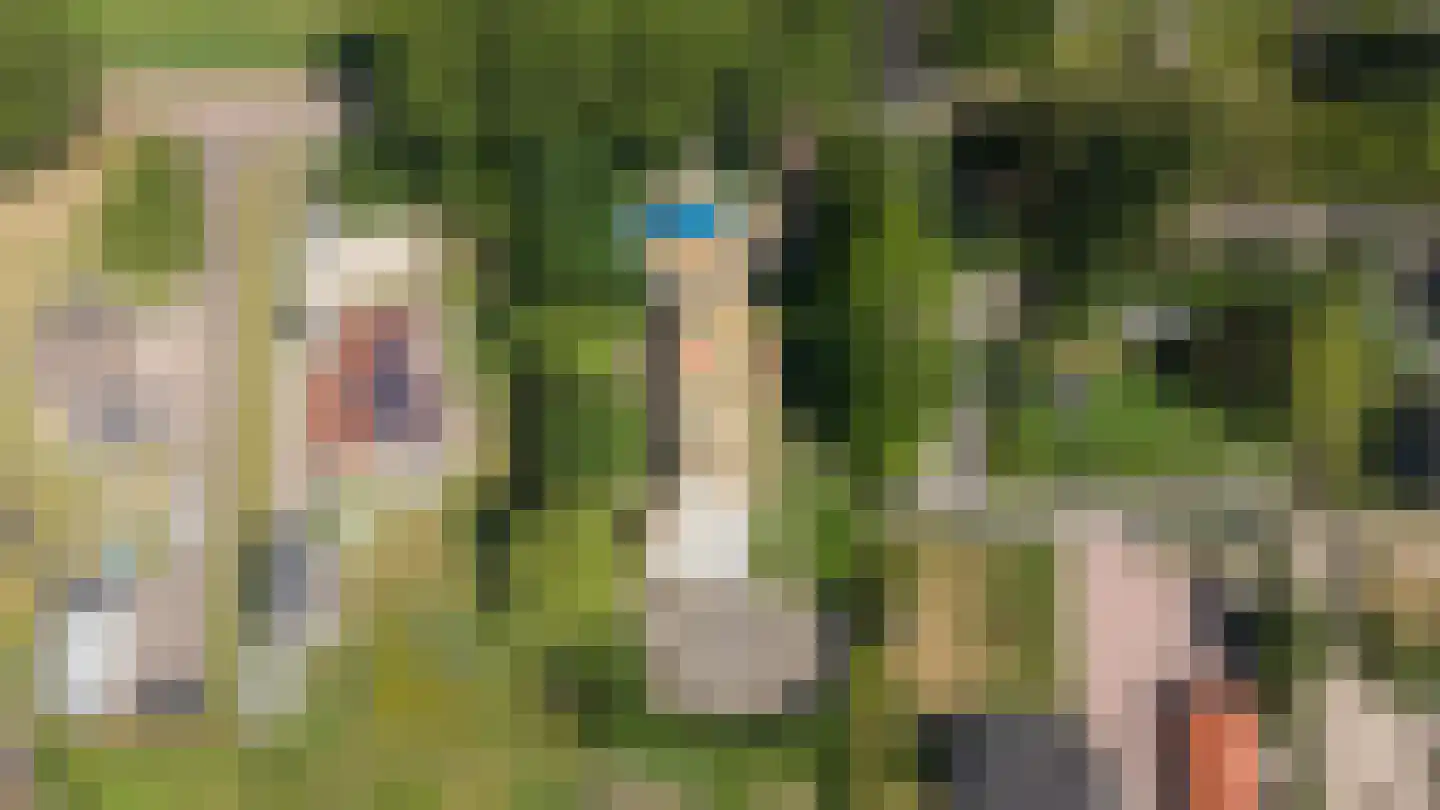 Spieringweg 1220 Zwaanshoek thumbnail 43