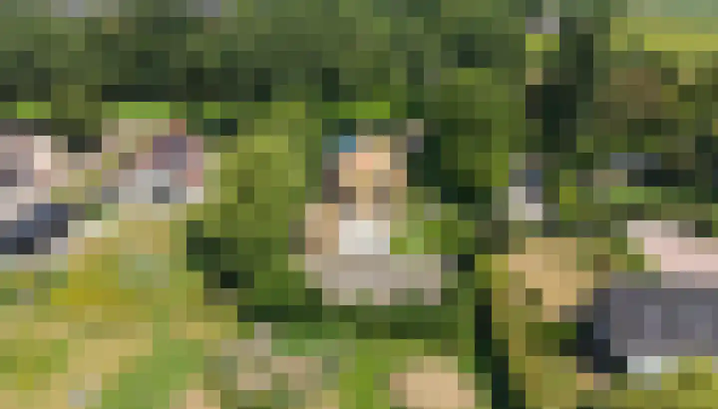 Spieringweg 1220 Zwaanshoek thumbnail 43