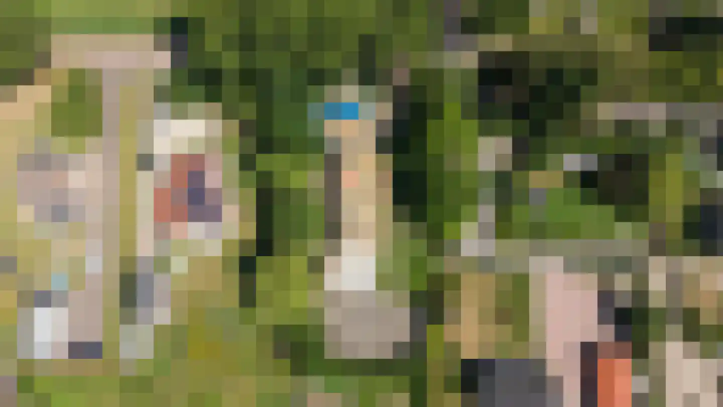 Spieringweg 1220 Zwaanshoek thumbnail 44