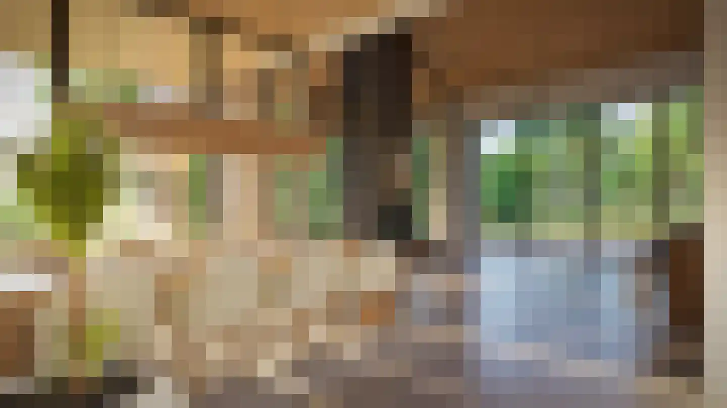 Spieringweg 1220 Zwaanshoek thumbnail 6