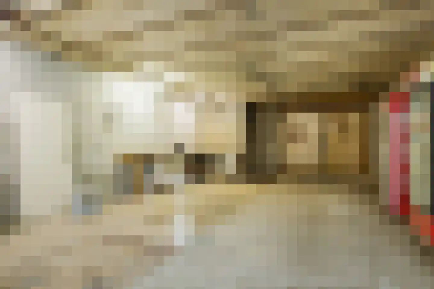 Spieringweg 3 Kamperland thumbnail 36