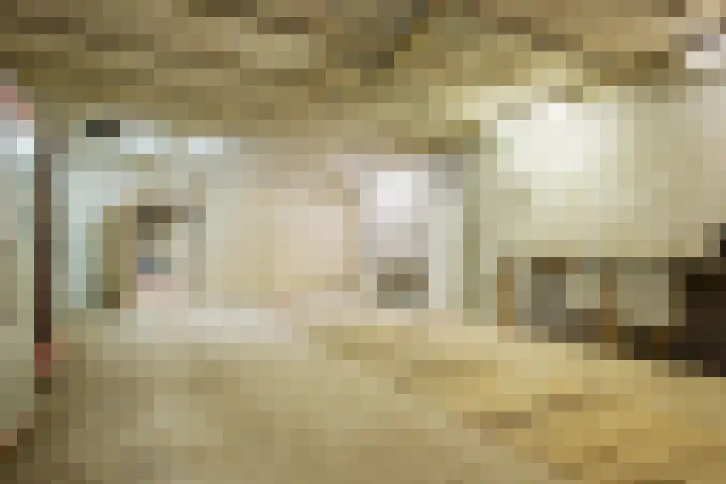 Spieringweg 3 Kamperland thumbnail 37