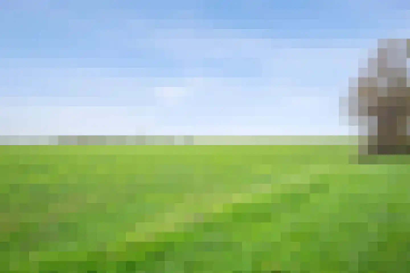 Spieringweg 3 Kamperland thumbnail 4