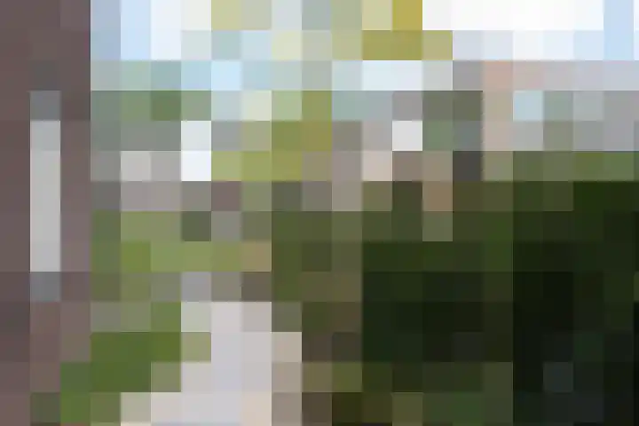 Spieringweg 466 Vijfhuizen thumbnail 4