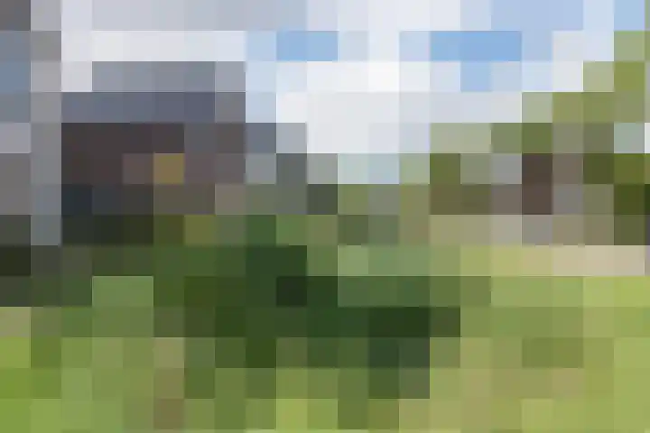 Spieringweg 466 Vijfhuizen thumbnail 5