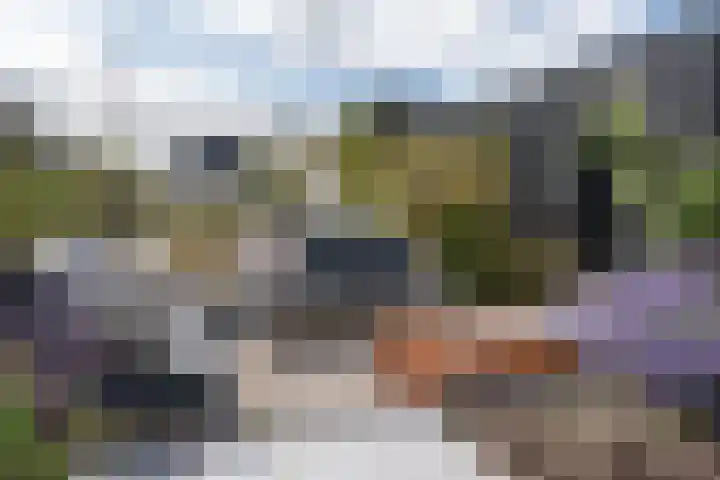 Spieringweg 466 Vijfhuizen thumbnail 9