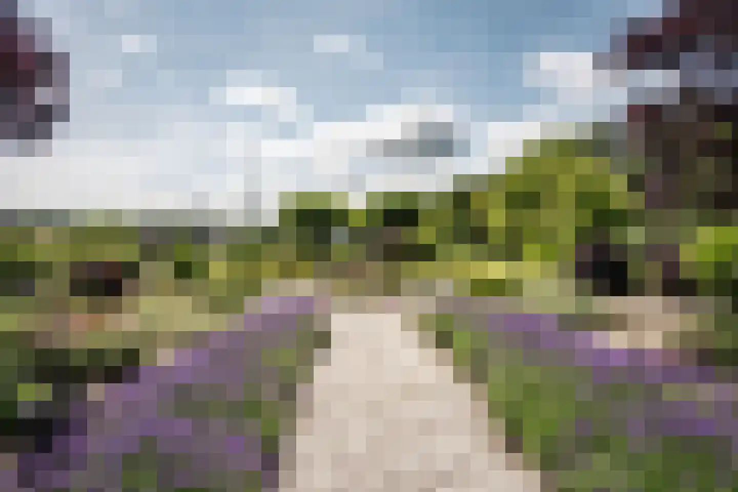Spieringweg 512 Vijfhuizen thumbnail 4