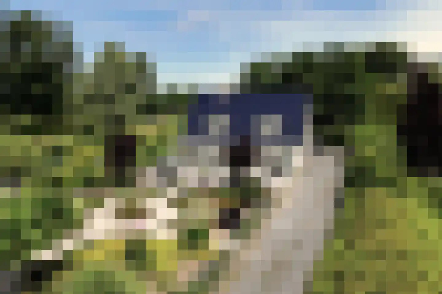Spieringweg 512 Vijfhuizen thumbnail 8