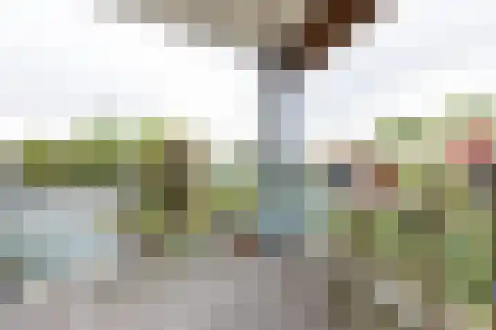 Spieringweg 605 C Vijfhuizen thumbnail 15