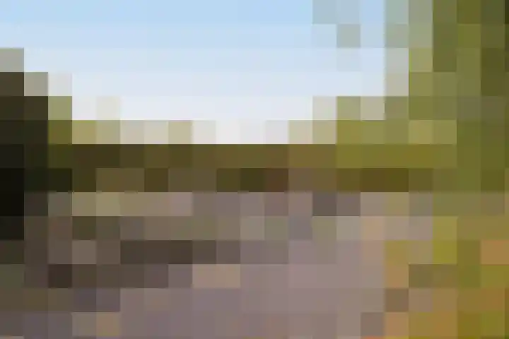 Spieringweg 605 C Vijfhuizen thumbnail 25