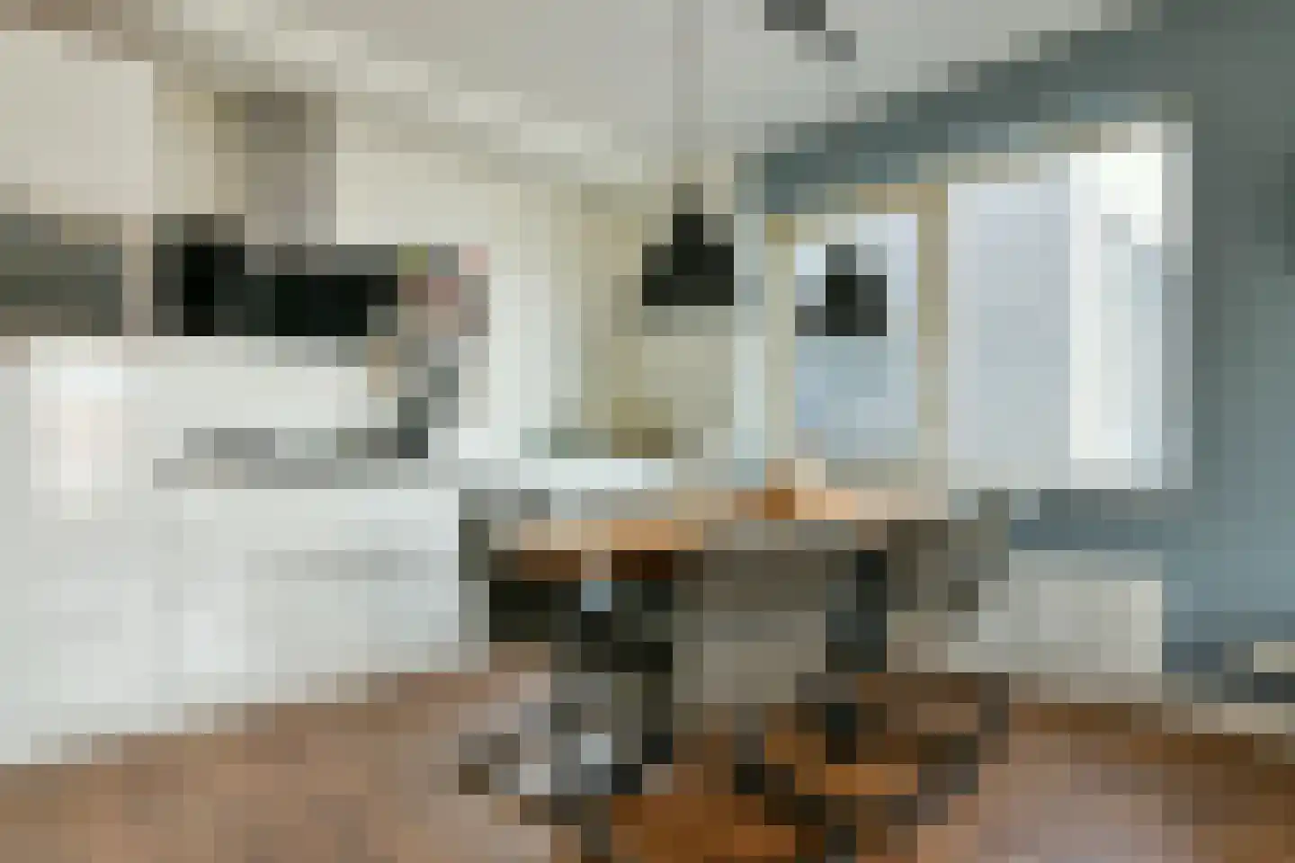 Spieringweg 605 H Vijfhuizen thumbnail 14