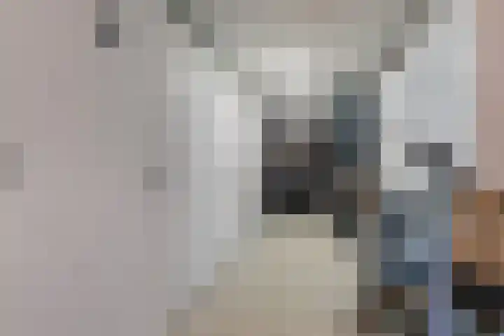 Spieringweg 605 L Vijfhuizen thumbnail 22