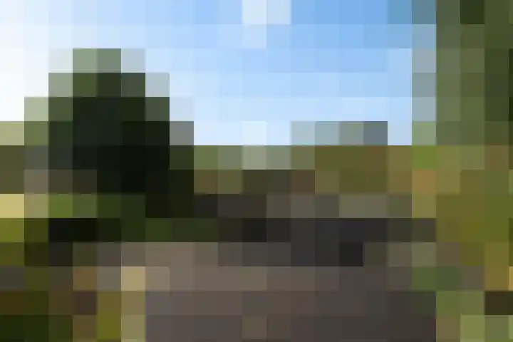 Spieringweg 605 L Vijfhuizen thumbnail 23