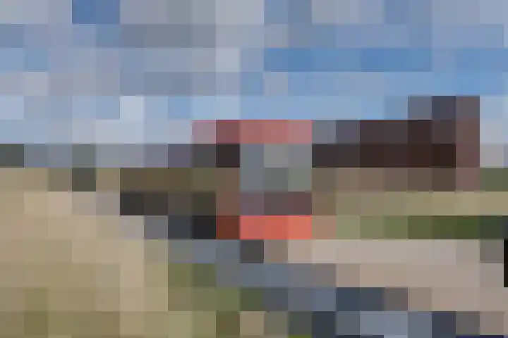 Spieringweg 605 L Vijfhuizen thumbnail 27