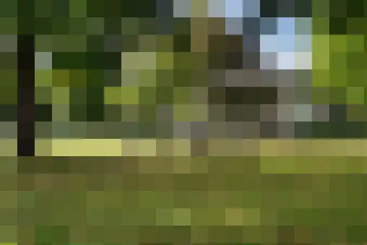 Spieringweg 605 L Vijfhuizen thumbnail 28