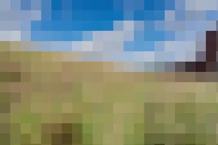 Spieringweg 605 L Vijfhuizen thumbnail 30