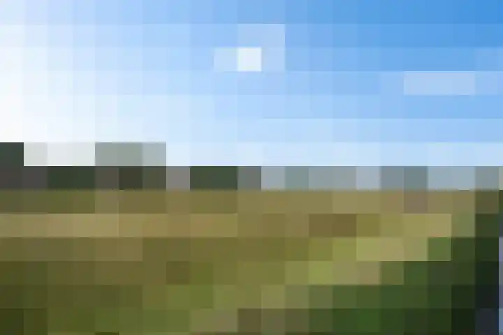 Spieringweg 605 L Vijfhuizen thumbnail 31