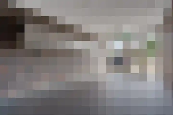 Spieringweg 605 L Vijfhuizen thumbnail 6