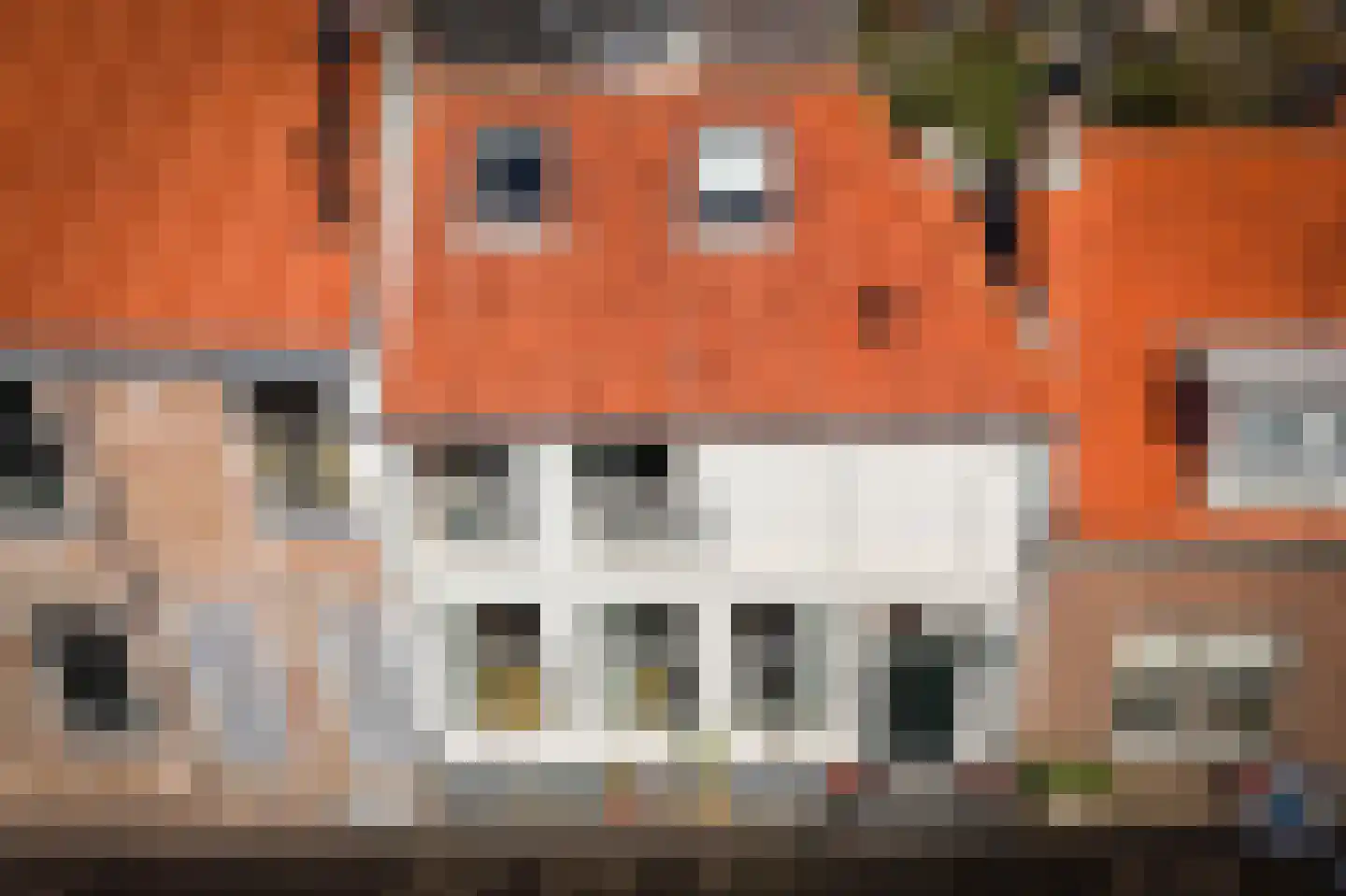 Spiesmakerstraat 10 Zaltbommel thumbnail 32