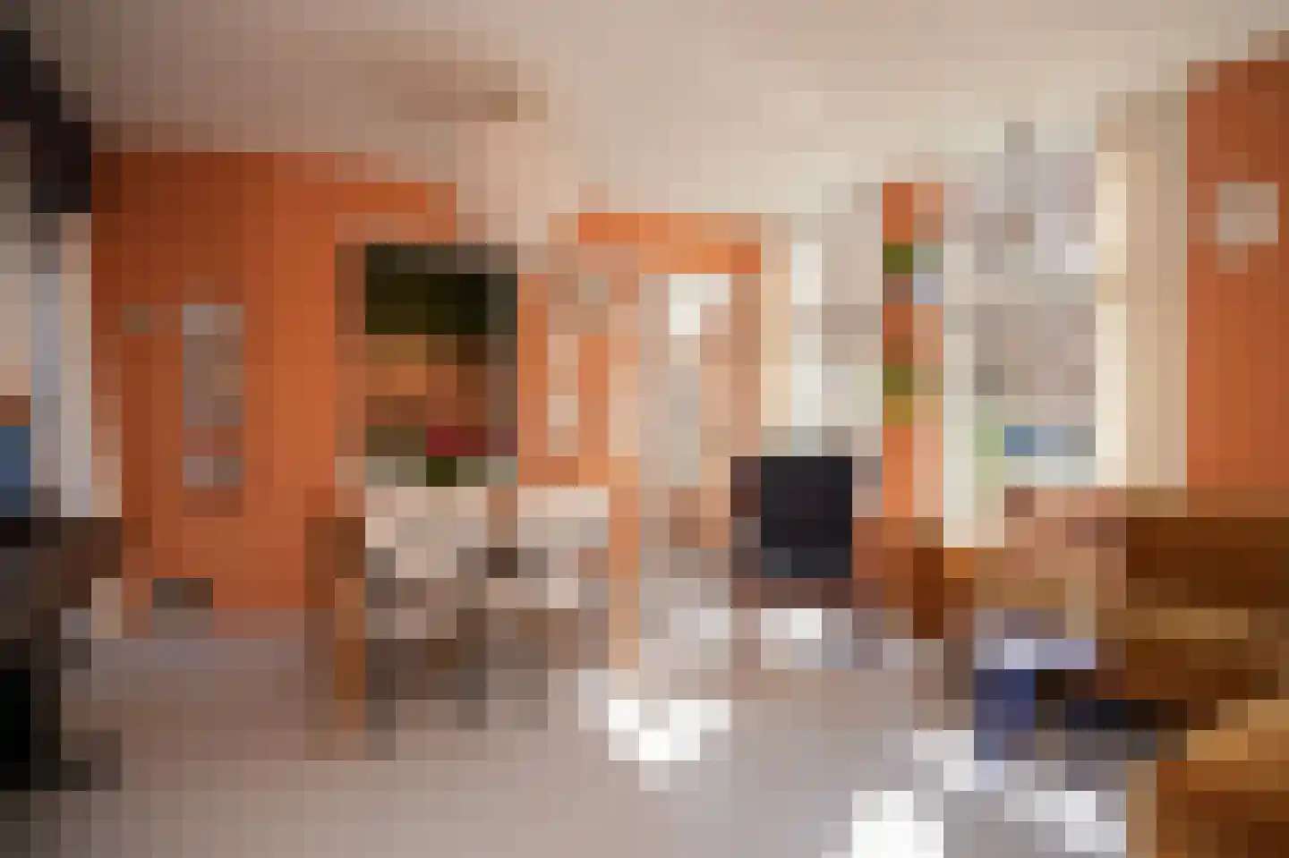 Spiesmakerstraat 10 Zaltbommel thumbnail 5