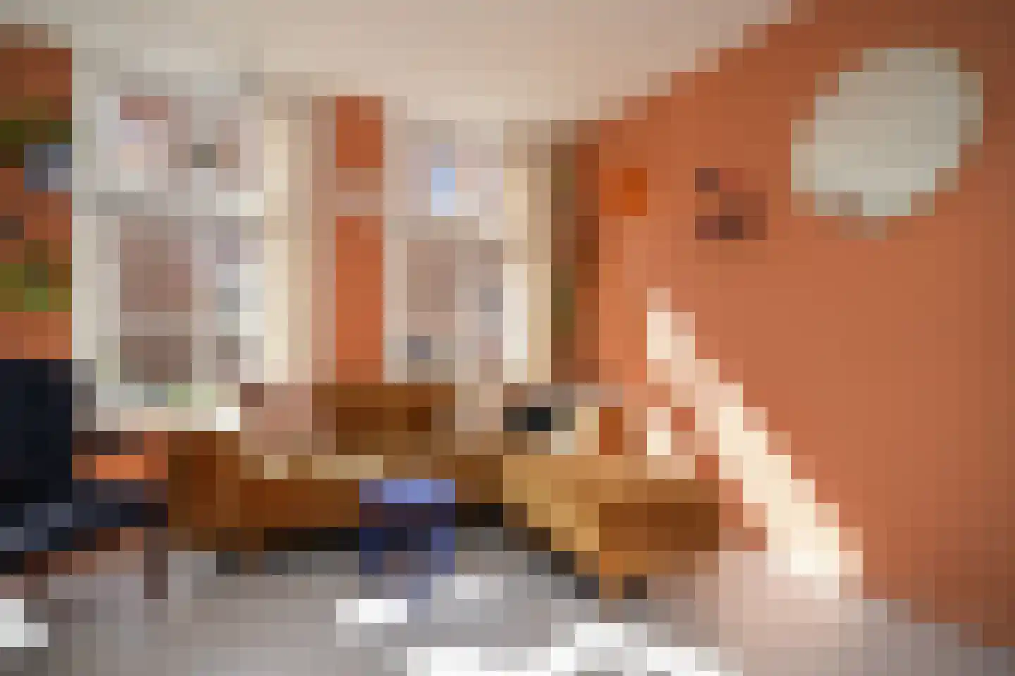 Spiesmakerstraat 10 Zaltbommel thumbnail 6
