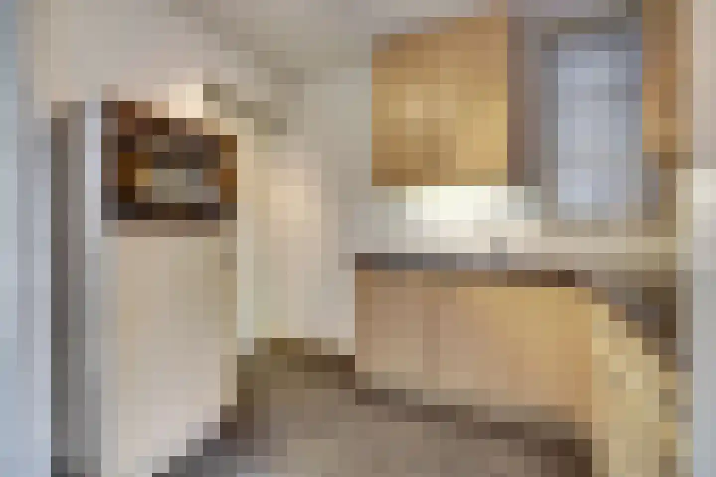 Spieveld 28 Bladel thumbnail 10