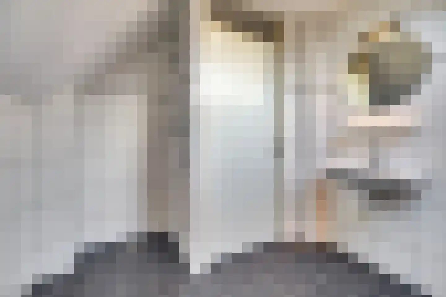 Spieveld 28 Bladel thumbnail 27