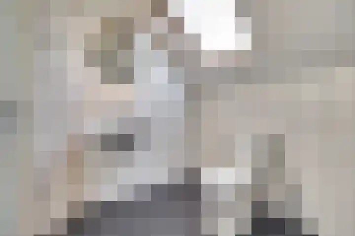 Spieveld 28 Bladel thumbnail 28