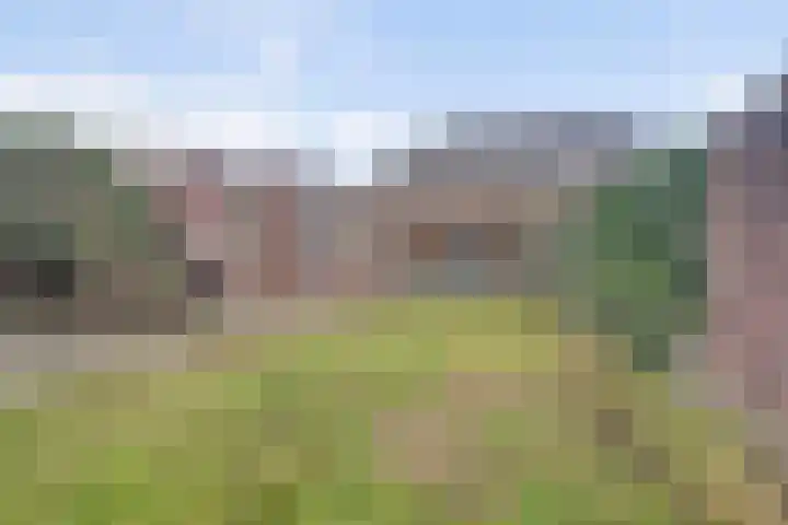 Spieveld 28 Bladel thumbnail 31