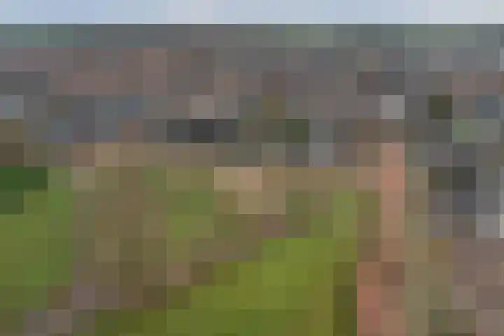 Spieveld 28 Bladel thumbnail 34
