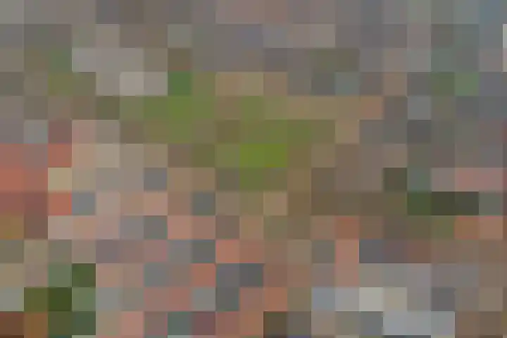 Spieveld 28 Bladel thumbnail 35