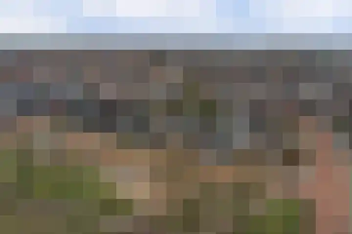 Spieveld 28 Bladel thumbnail 37
