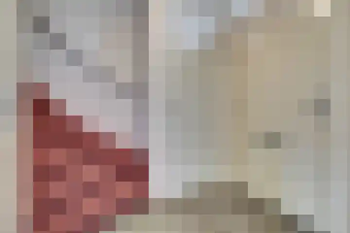 Spieveld 28 Bladel thumbnail 4