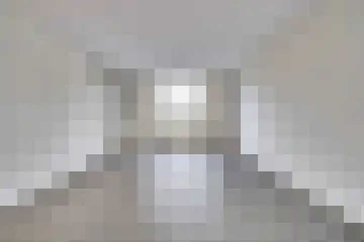 Spieveld 28 Bladel thumbnail 6