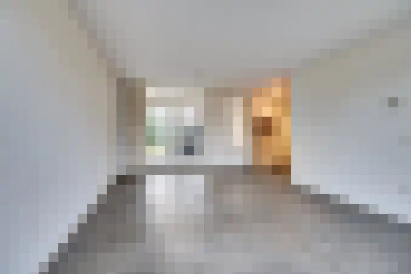 Spieveld 28 Bladel thumbnail 8