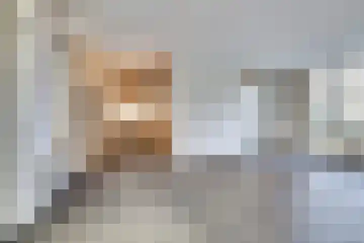 Spieveld 28 Bladel thumbnail 9