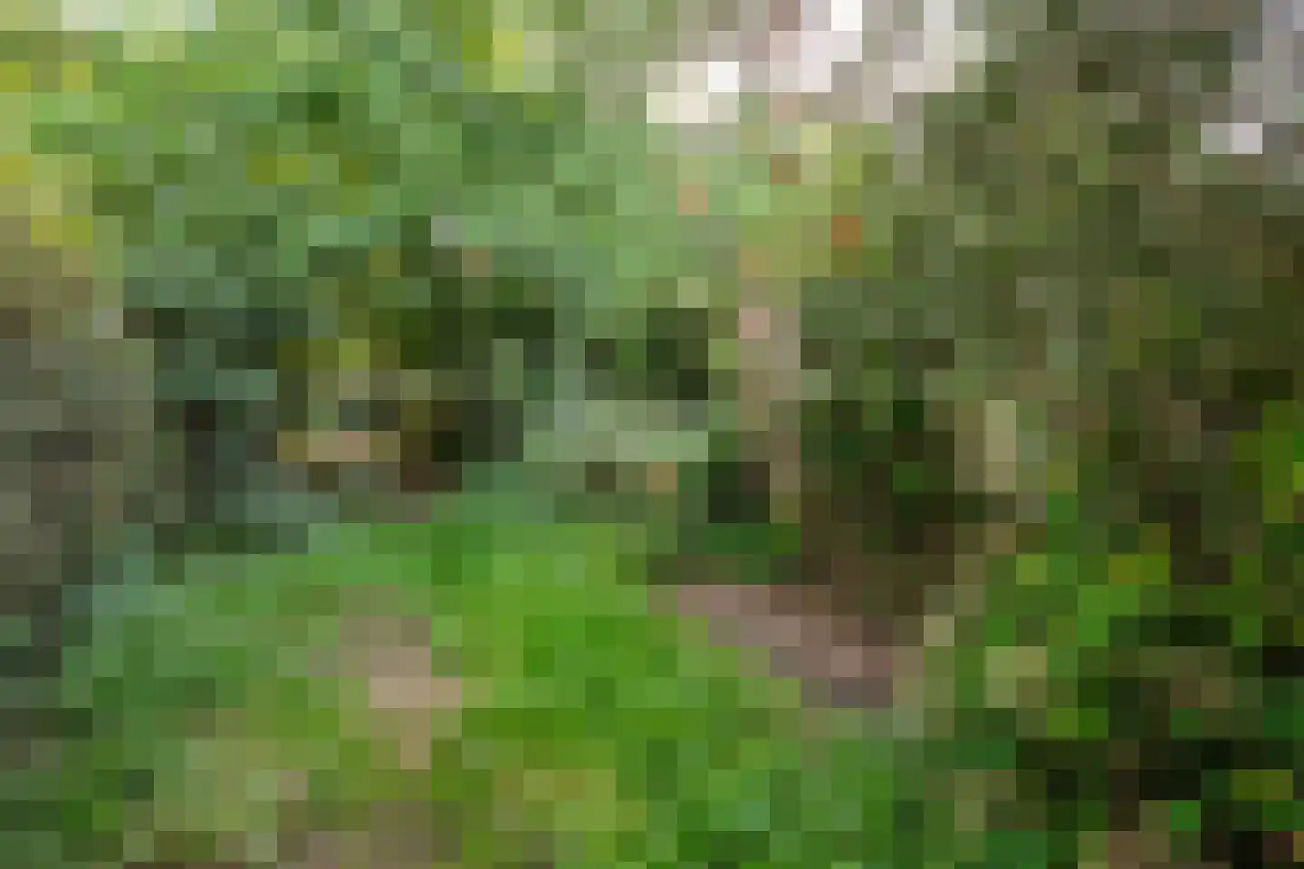 Spijk 17 Wageningen thumbnail 21