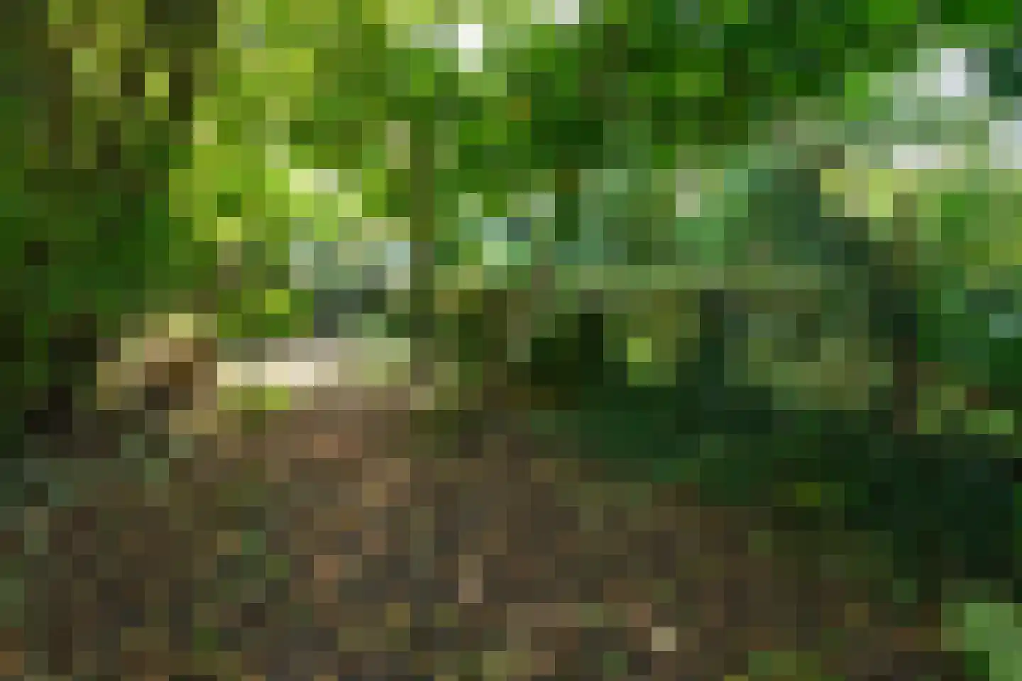 Spijk 17 Wageningen thumbnail 22